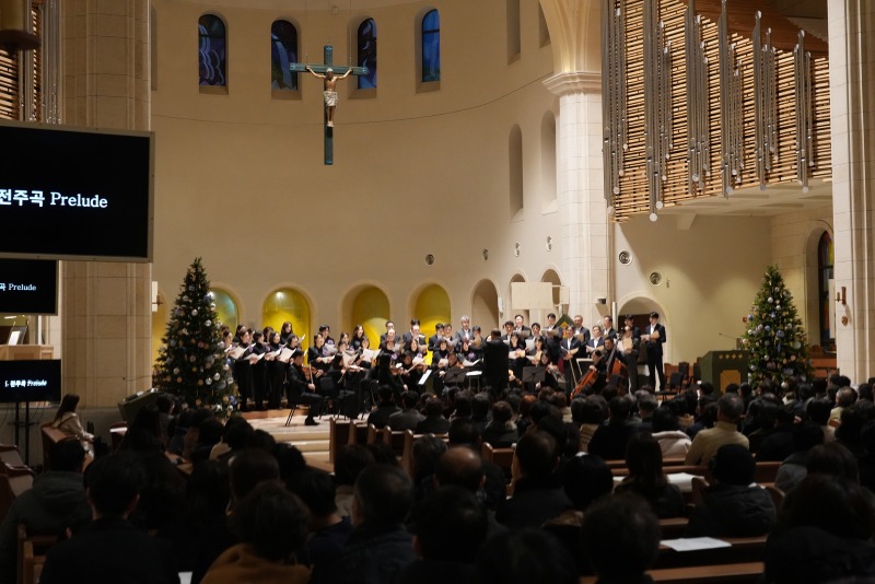 DSC0835aa.jpg