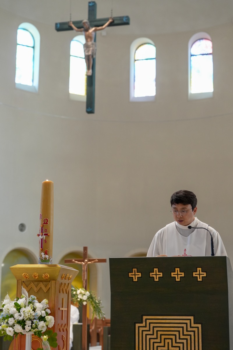 DSC00538aa.jpg