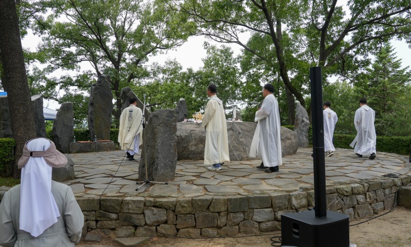 DSC00718aa.jpg