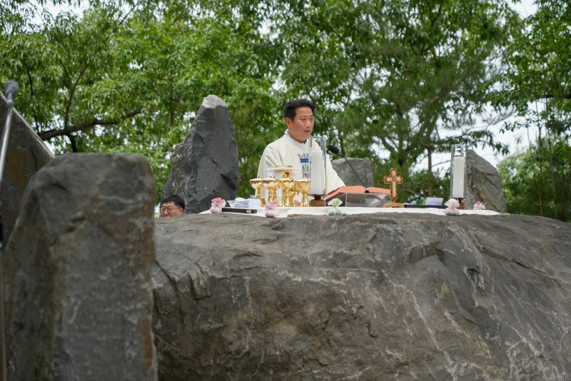 DSC00739aa.jpg
