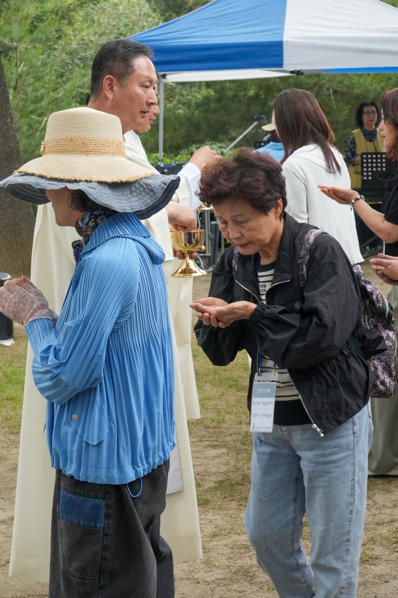 DSC00780aa.jpg