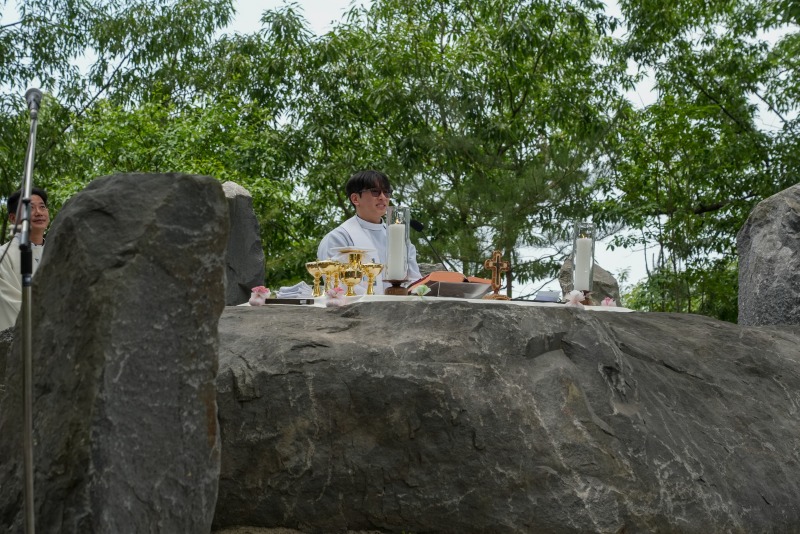 DSC00798aa.jpg