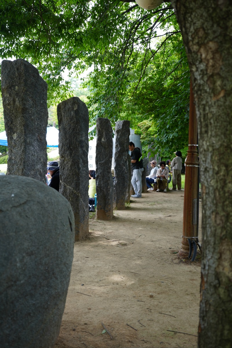 DSC00850.JPG