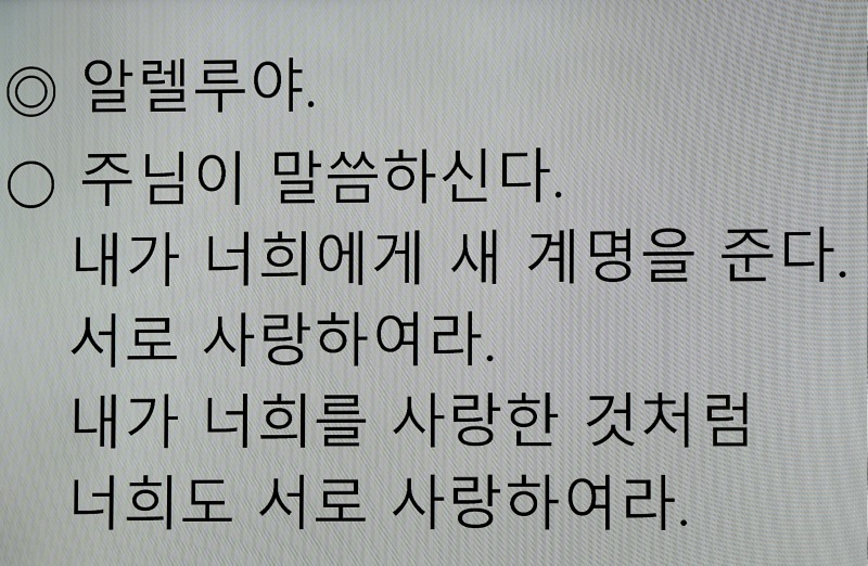 DSC01101aa.jpg