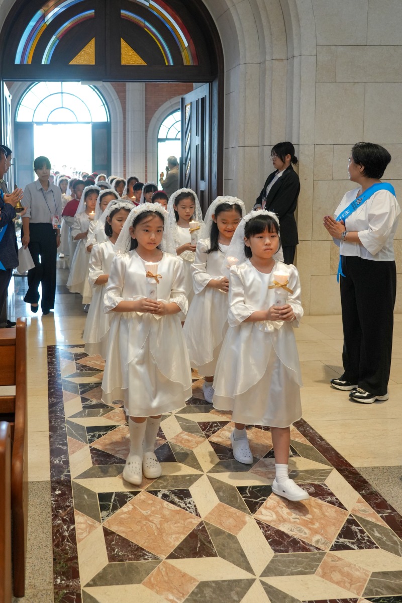 DSC01309aa.jpg