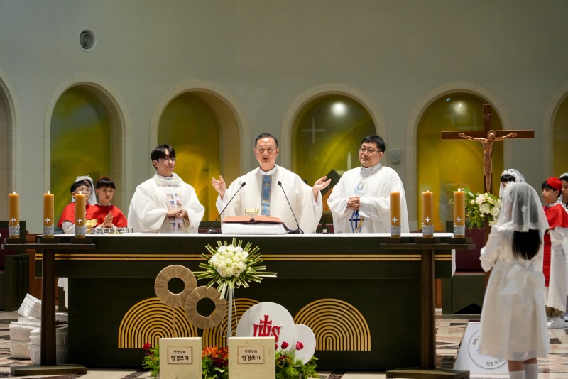 DSC1480aa.jpg