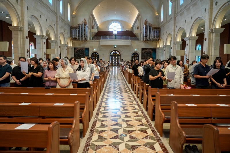 DSC1557aa.jpg