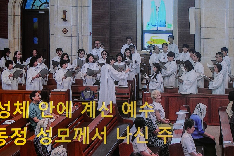 DSC02173aa.jpg