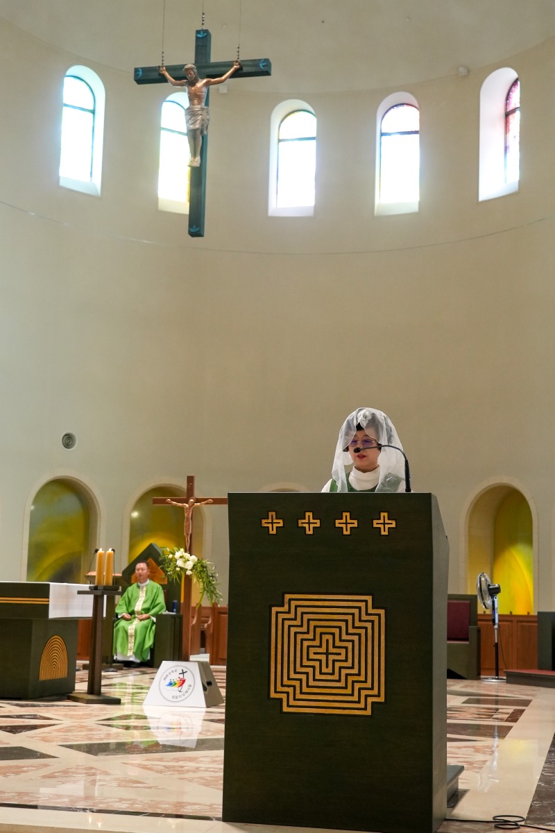 DSC02705aa.jpg