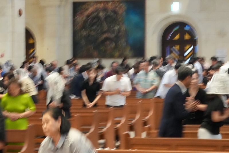 DSC03854aa.jpg