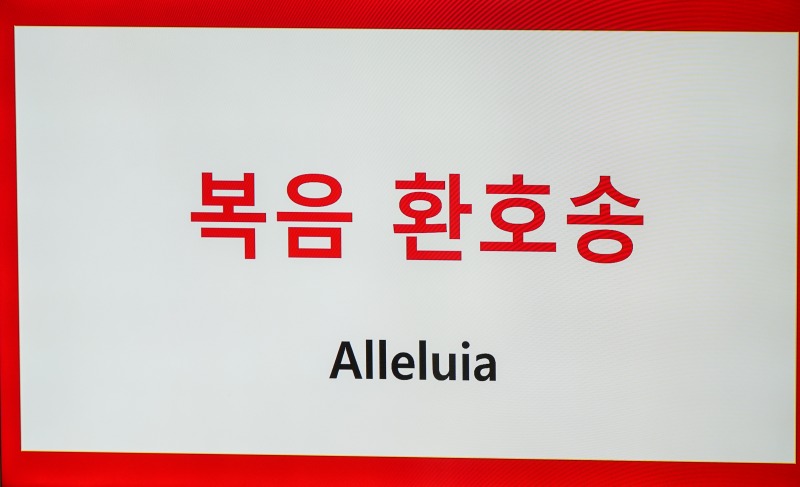 DSC04287aa.jpg