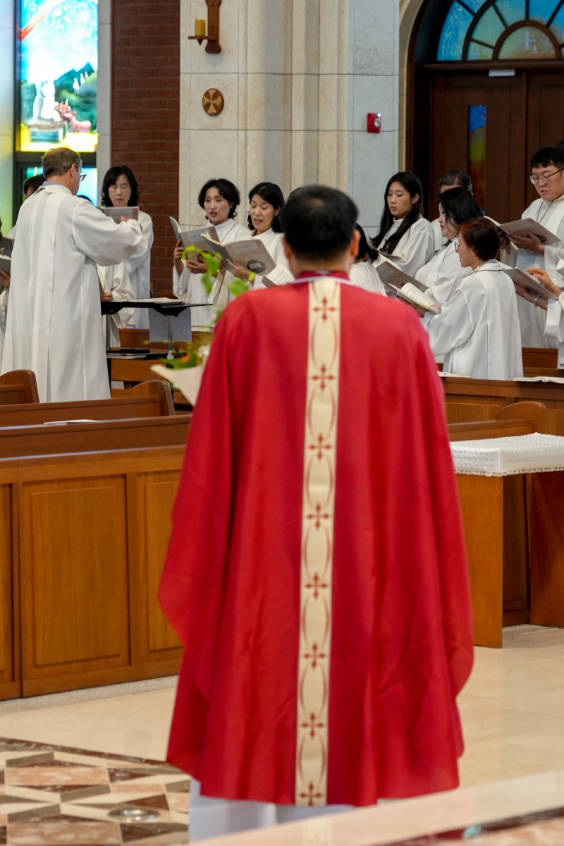 DSC04699aa.jpg