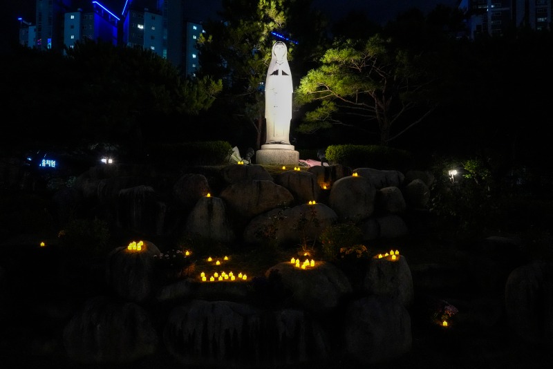 DSC04903aa.jpg