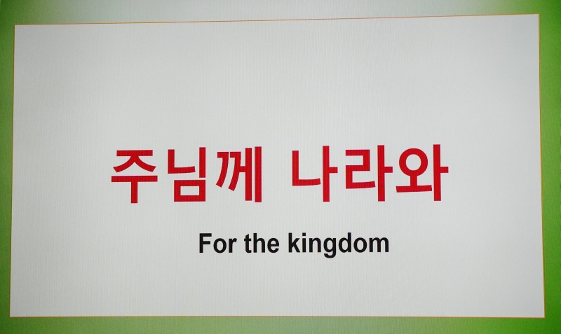 DSC05112aa.jpg