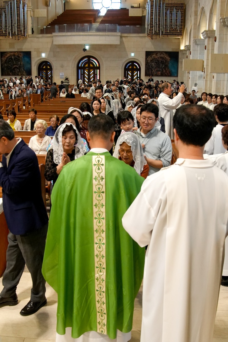 DSC05135aa.jpg