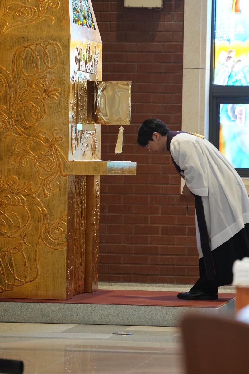 DSC06535 - 복사본.JPG